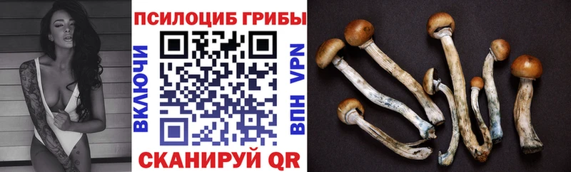 Галлюциногенные грибы прущие грибы Купить закладки Верхнеуральск